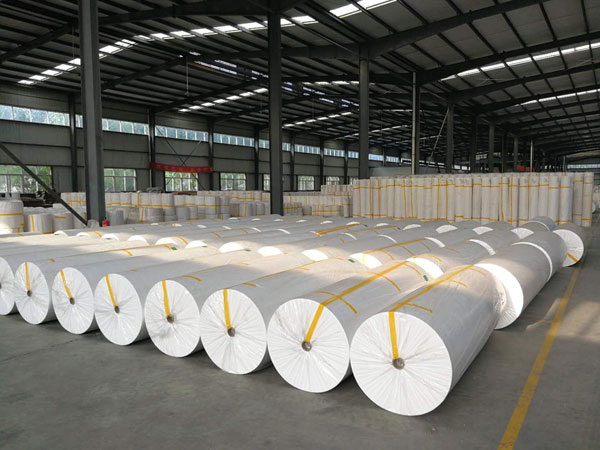 丰县狭缝式涤纶纺粘无纺布